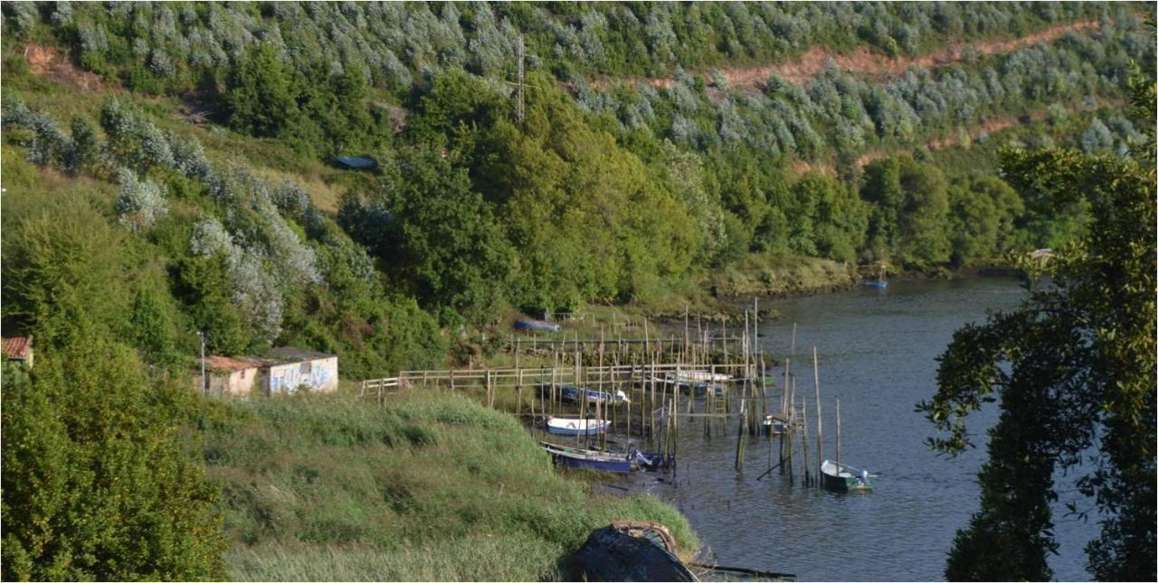 La Quintana Del Castillo Сото дел Барко Екстериор снимка